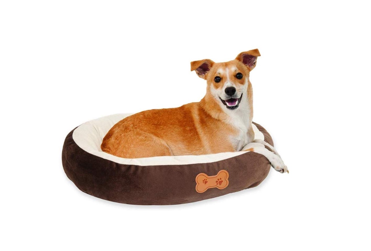 Best print on demand products: Pet beds