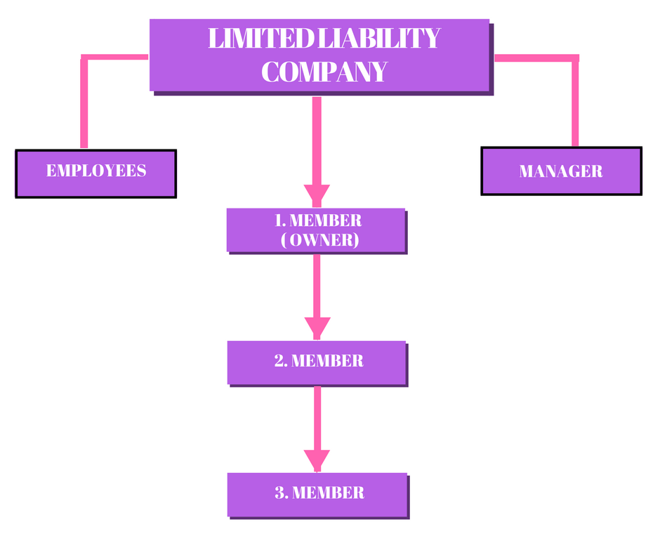 general-partner-vs-limited-partner-what-are-the-differences