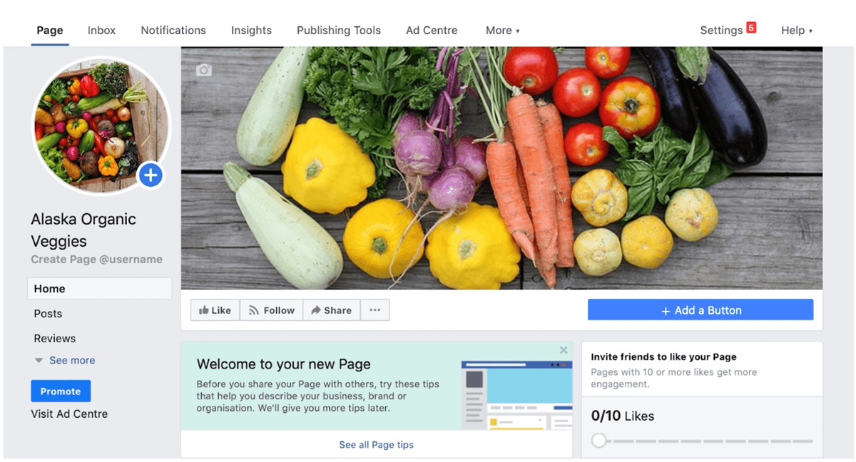 Shopify Facebook marketing: Created page