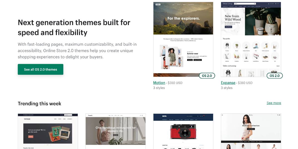 Shopify Themes