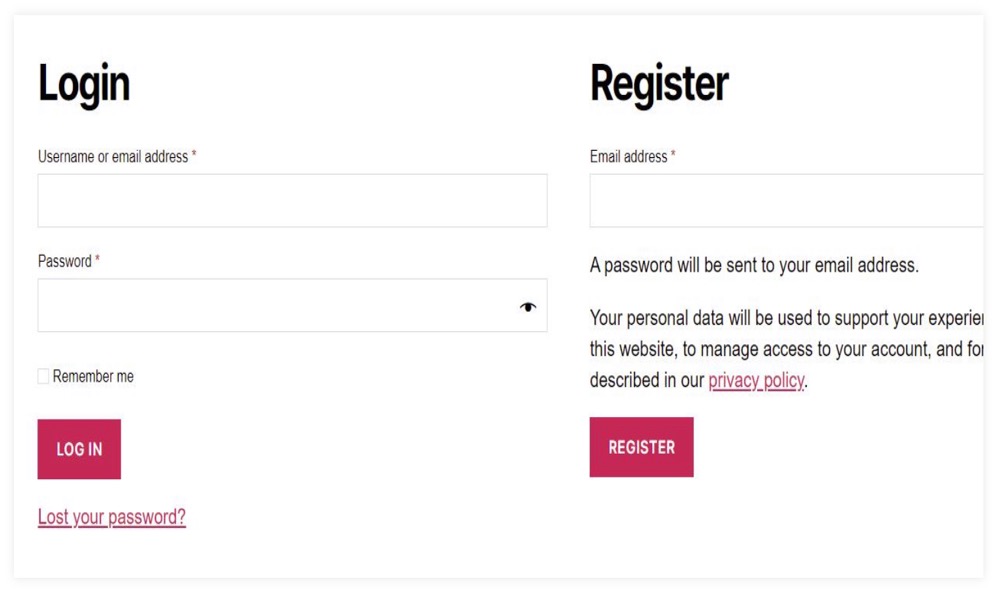 Make your own Login Form