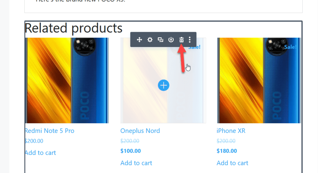 Remove the Related Products section