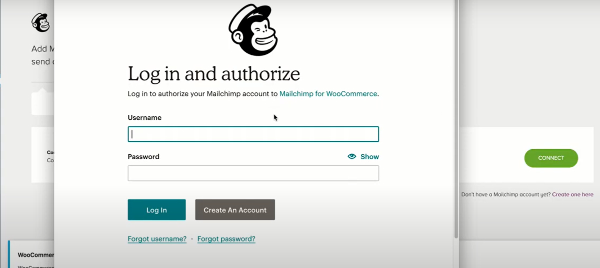 Enter Mailchimp account