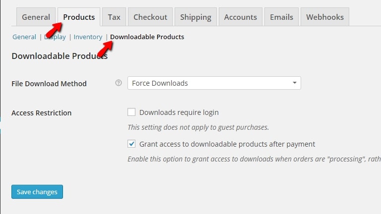 Navigate to Downloadable products tab