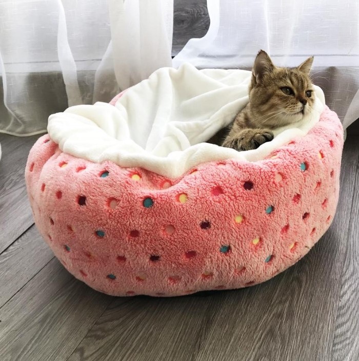 Pet Bed