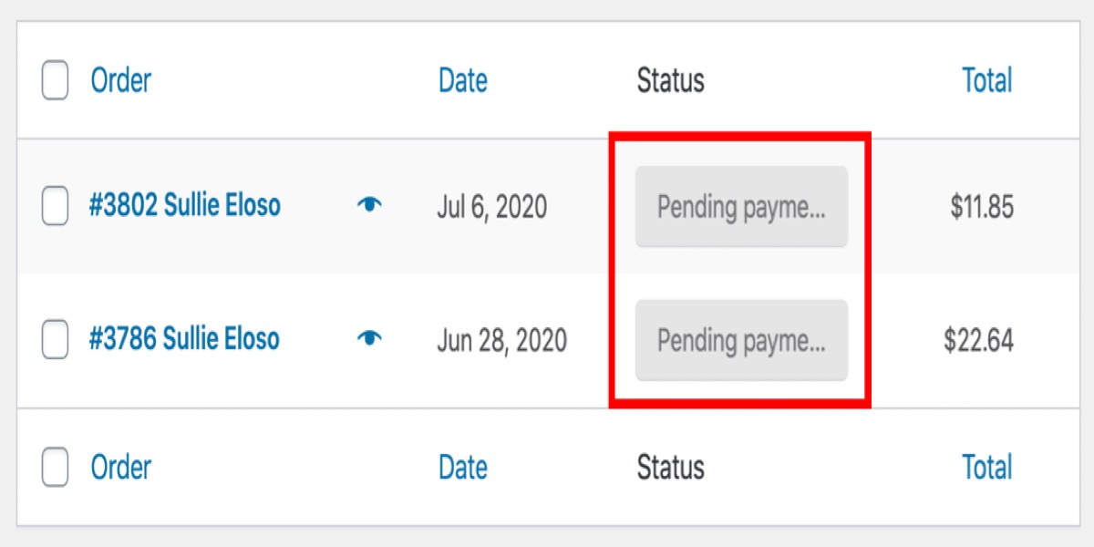 Check Payment Status in WooCommerce