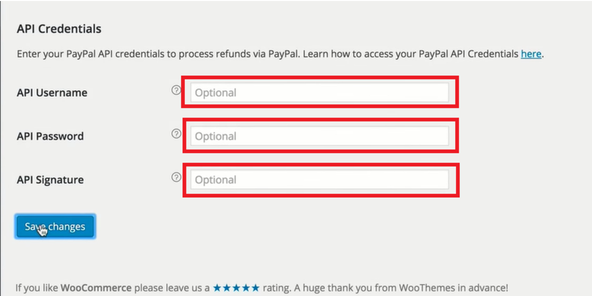 Paste the api credentials