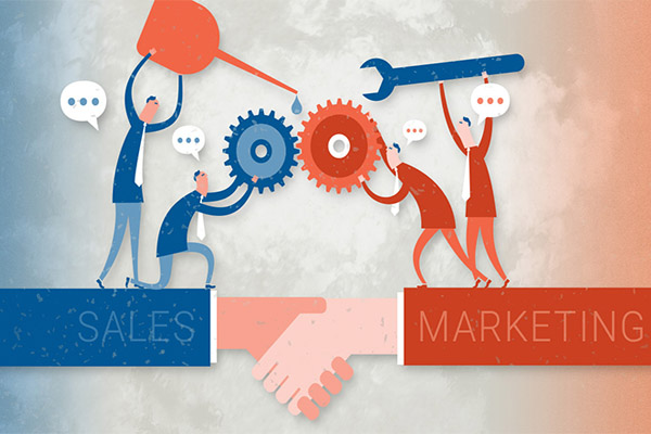 Marketing and Sales coordinate with each other to generate interest and revenue from customers