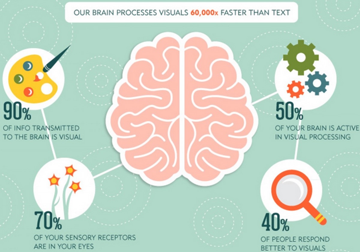 Visual contents engage the brains