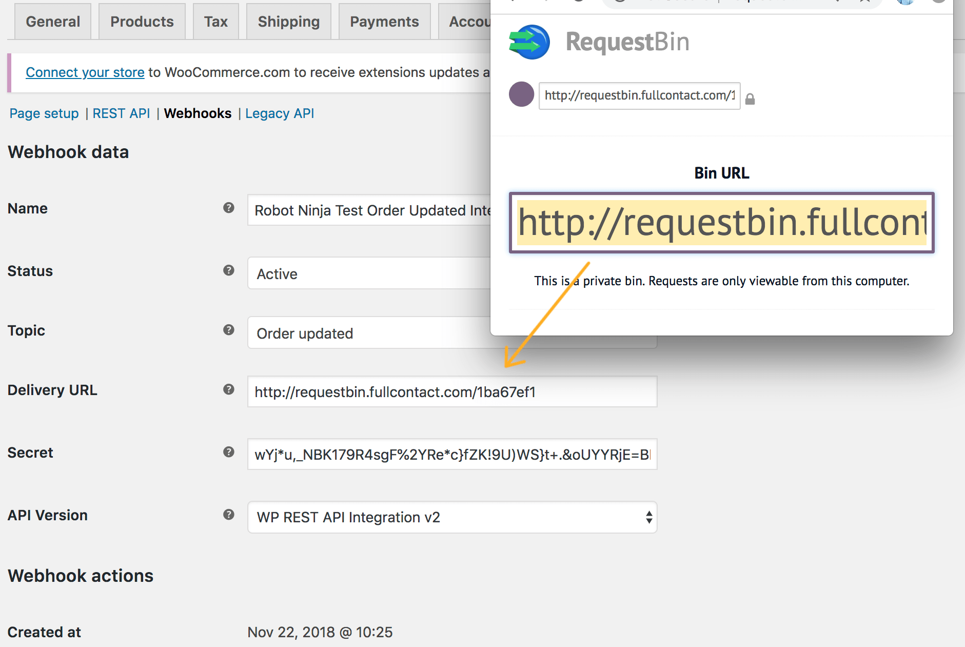 Paste the bin URL in the Delivery URL field