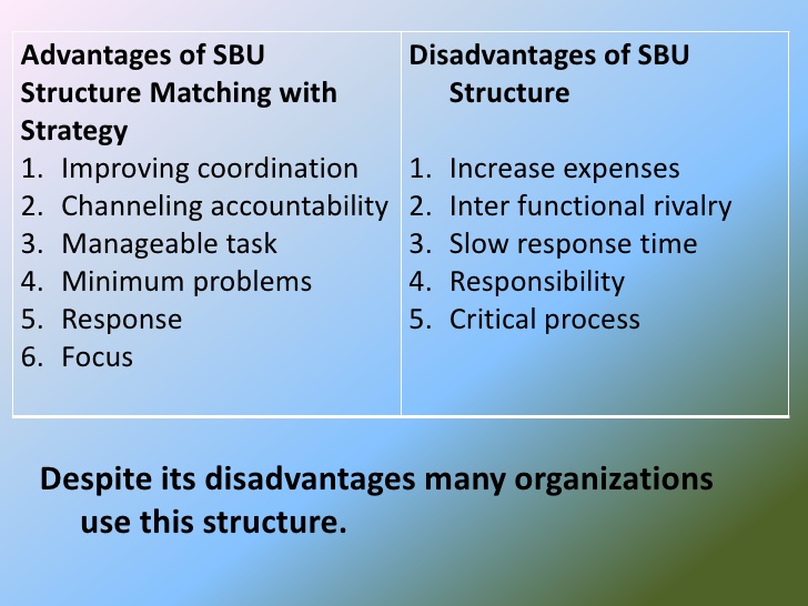 What Is The Strategic Business Unit Examples Structure Type 0197