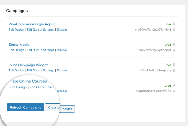 If you're using the OptinMonster plugin, remember to reload your campaign in your WordPress dashboard, just like you did before: