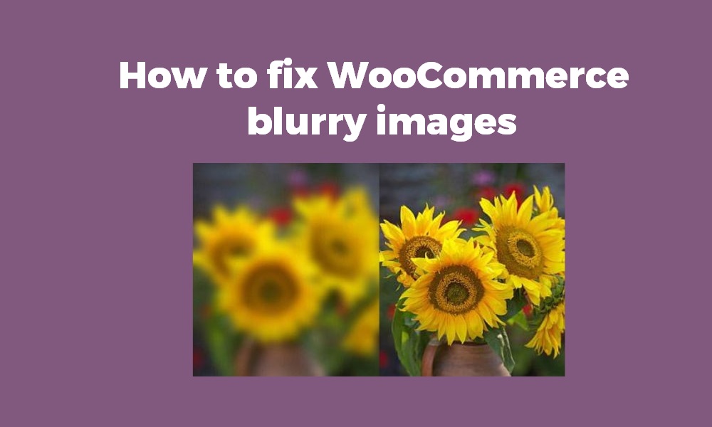 How to Fix Blurry Product Images in WooCommerce