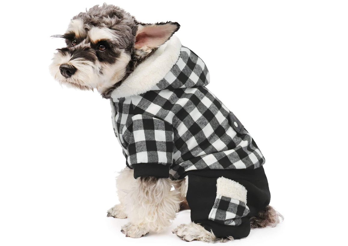Dog's winter clothes found on Amazon