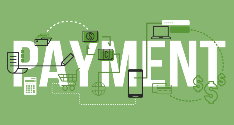 How Electronic check process payments