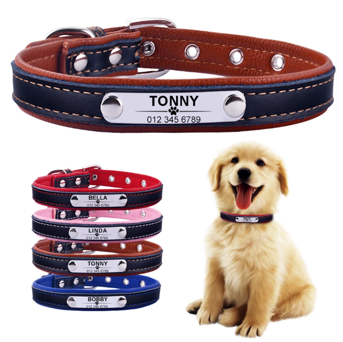 Personalized Dog Collar