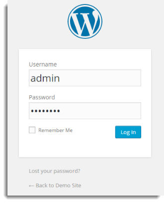 Logging in to the WordPress site