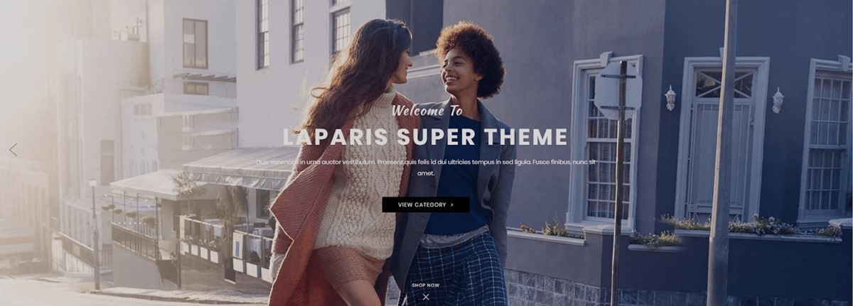 Best Shopify Themes/Templates - LaParis theme