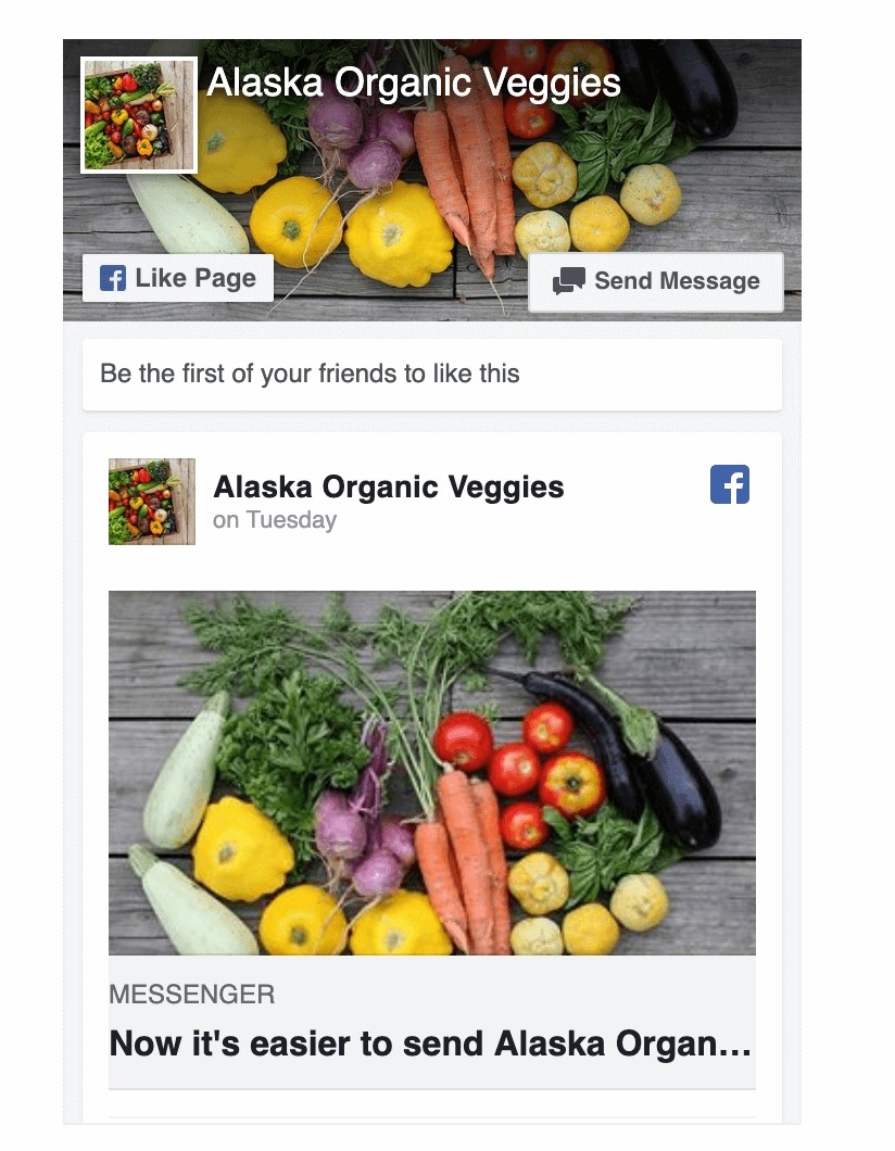 Shopify Facebook marketing: like box