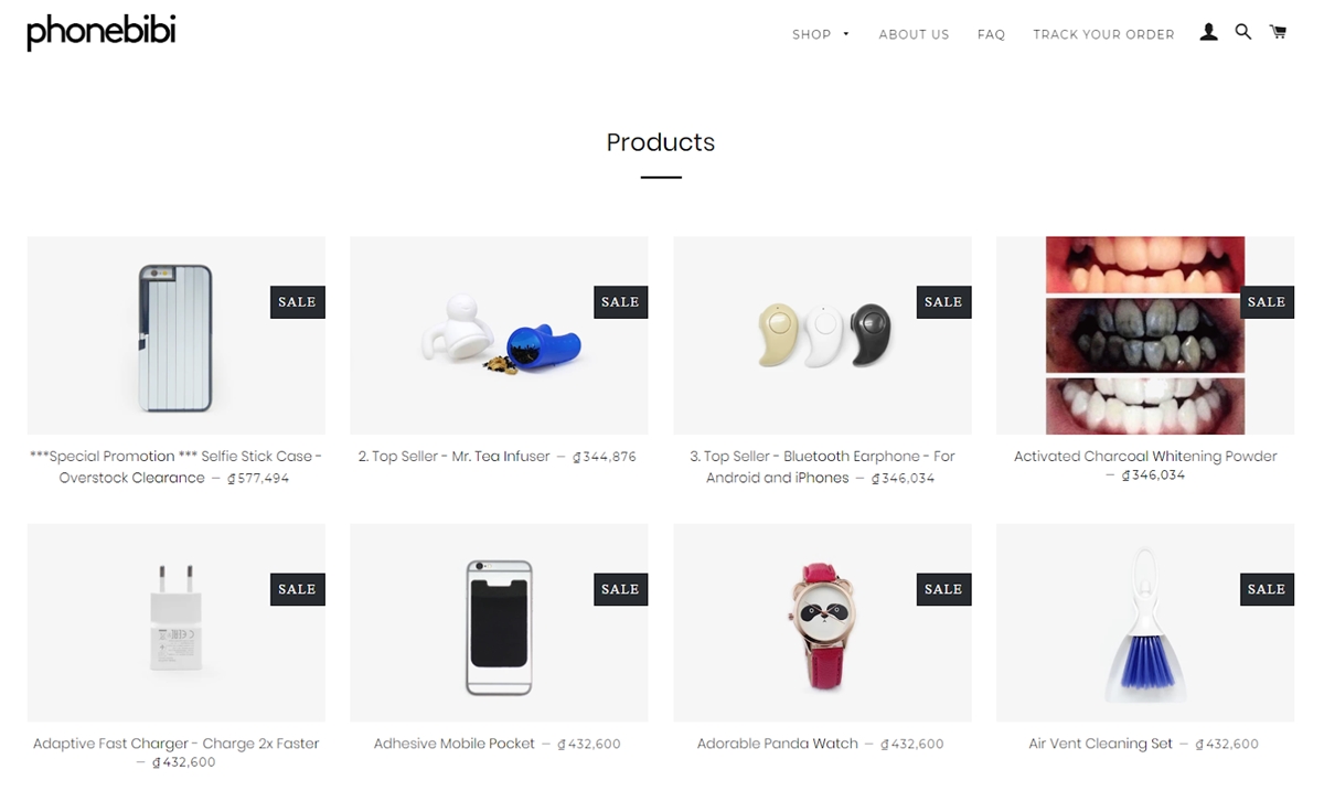 24 Most Successful Shopify Dropshipping Store Examples 2024