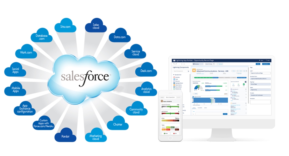 Salesforce.com - The pioneer in SaaS