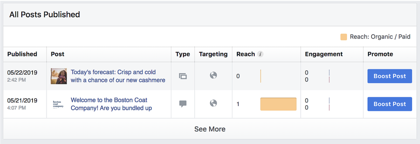 Tracking your Facebook Marketing campaign: All Post Published