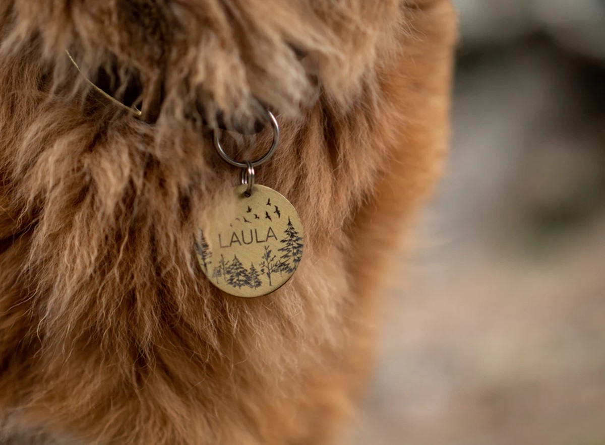 Best print on demand products: Pet ID tags