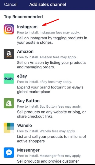 To add an online sales channels to your Shopify admin on iPhone 3