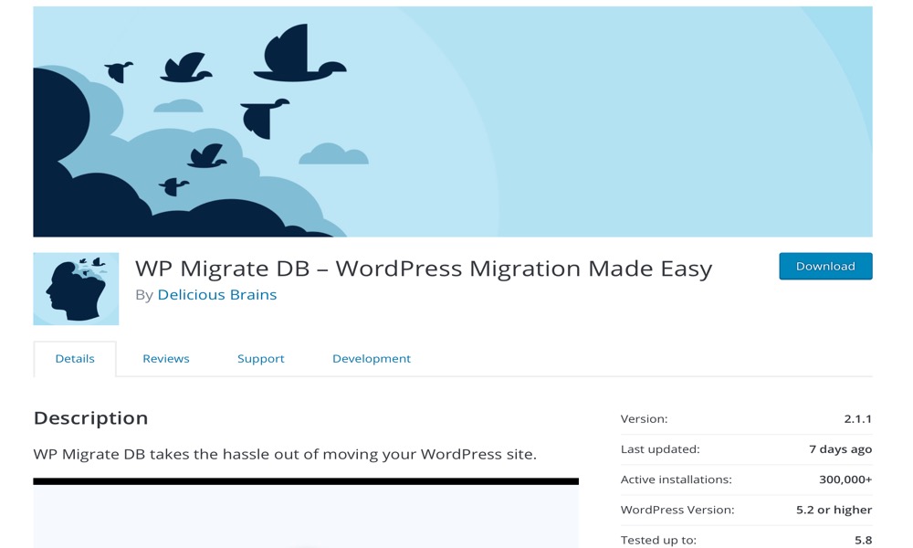 WP Migrate DB