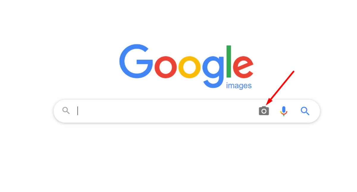 Reverse Image Search