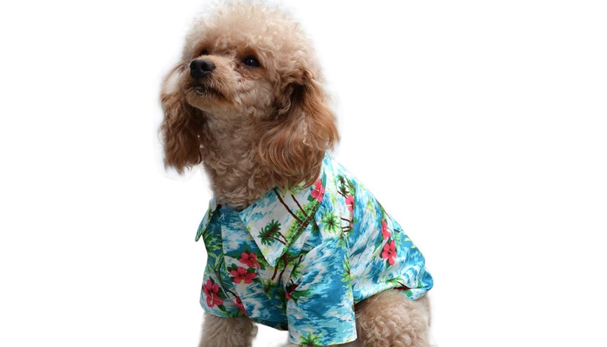 Best print on demand products: Pet shirts