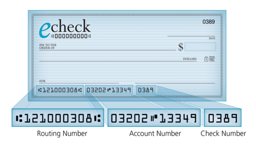 What is an Electronic check