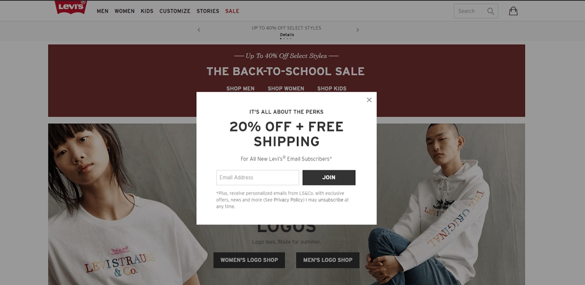 Ecommerce welcome email marketing campaign: 20% off