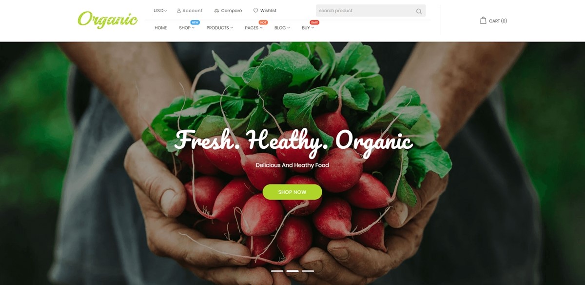 Best Shopify Themes/Templates - Organic theme