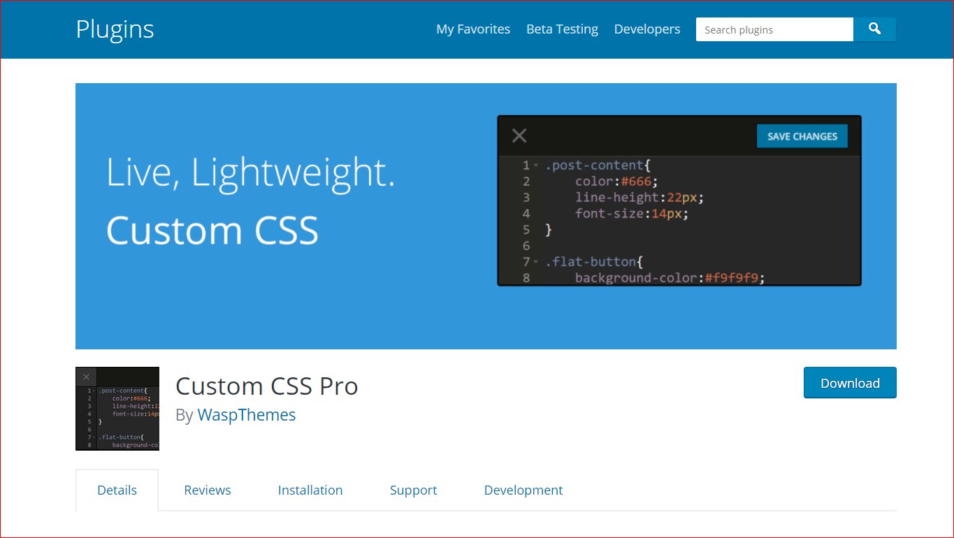 Custom CSS Pro