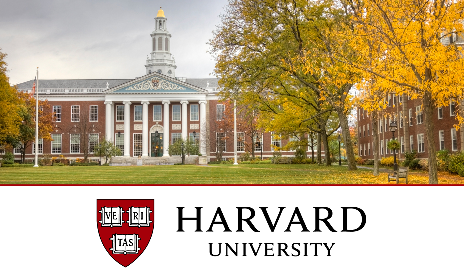 Harvard Marketing MBA program