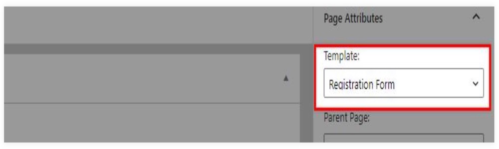 Separate Login and registration