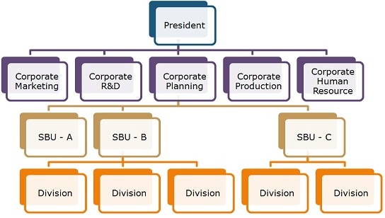 The structure of a strategic business unit