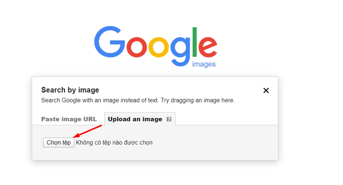 Reverse Image Search